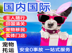 韶关航空快递国际宠物托运 【国